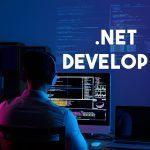 net developers in india