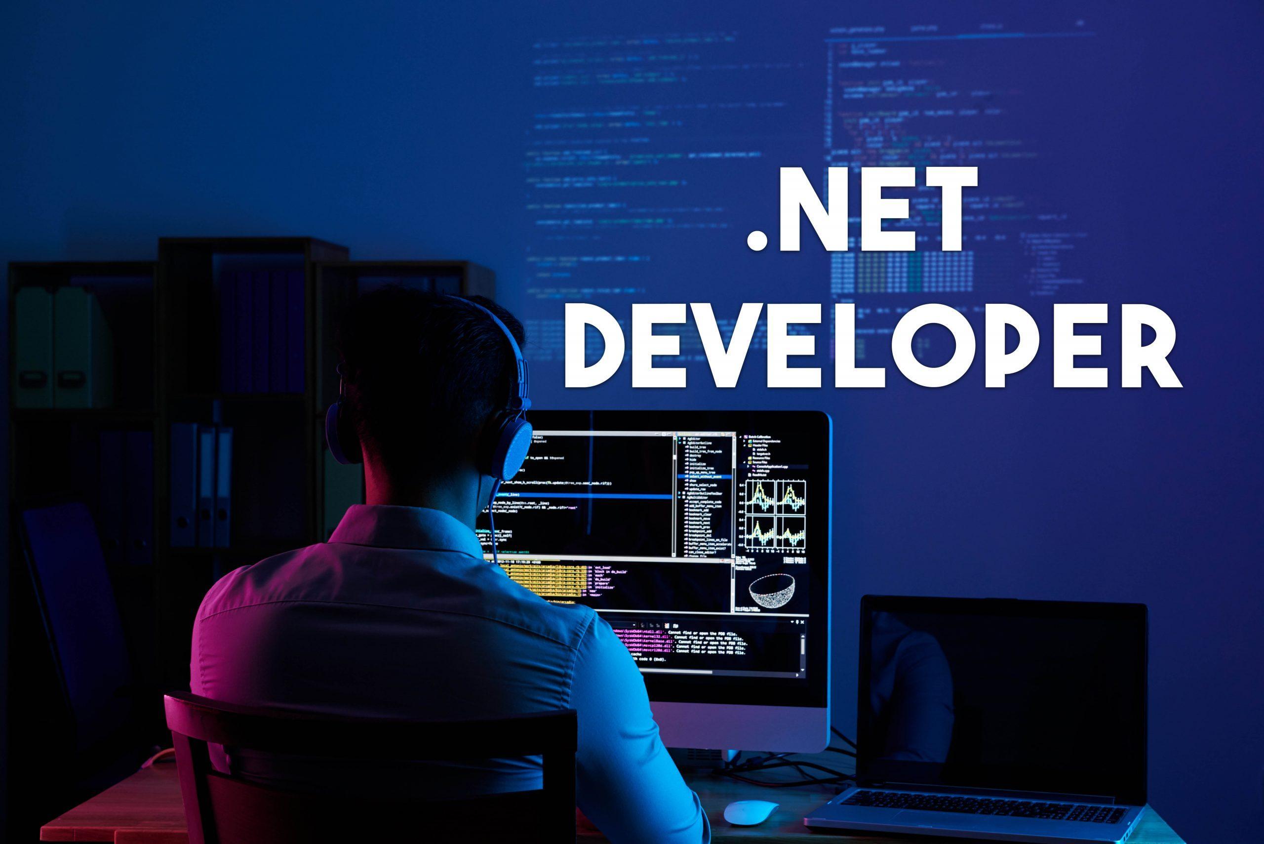 image of Choosing Dot Net Development as a Career &#038; It’s Future Prospects in India