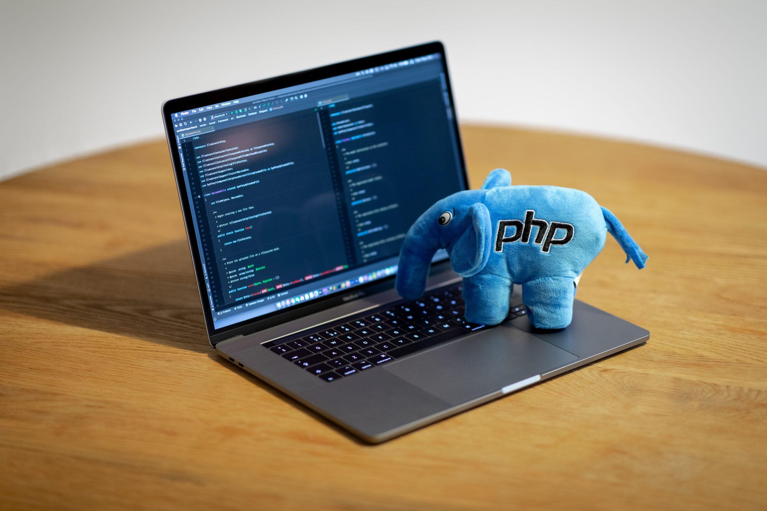 image of Choosing PHP development as a career